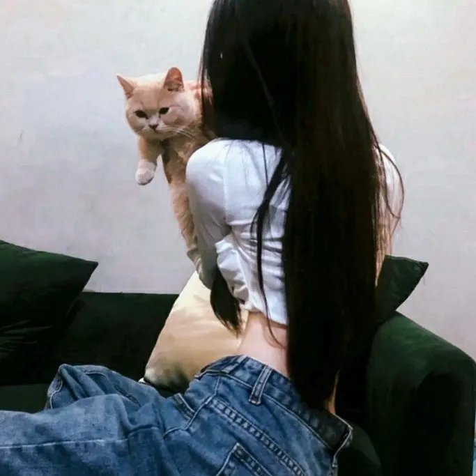 青春火花